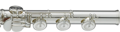 YFL-587